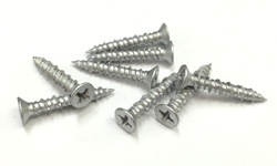 コンクリビスサラ画像