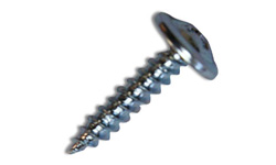 モドトラスビス画像