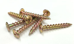 ラミネートビス画像