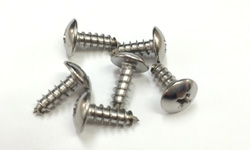 タッピングネジトラス画像